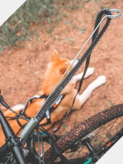 Antenne cani-VTT Fixe - Bike antenna - Non-Stop Dogwear