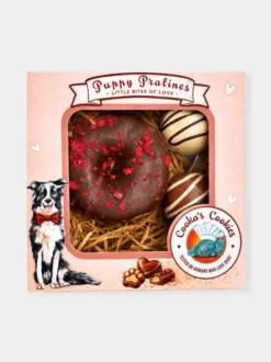 Assortiments de 3 gâteaux pour chien Puppy Pralines 🍩 – Cooka's Cookies