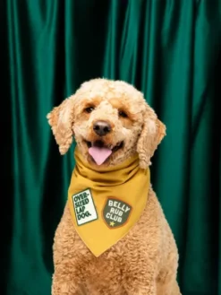 Badge thermocollant Belly Rub Club - Scout's Honour