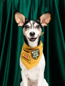 Badge thermocollant Belly Rub Club - Scout's Honour