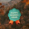 Badge thermocollant Puppy School 👼 - Scout's Honour