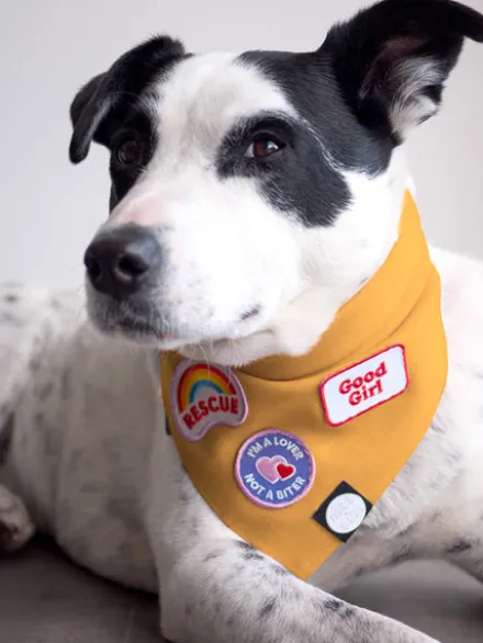 Badge thermocollant Rescue - Scout's Honour