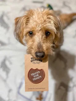 Badge thermocollant Tricks for Treats - Scout's Honour