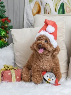 Balle en peluche pour chien - Pingouin de Noël 🐧 - HugSmart