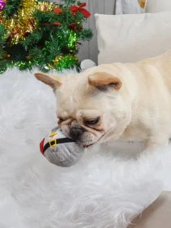 Balle en peluche pour chien - Pingouin de Noël 🐧 - HugSmart