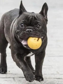 Balle Orbee Tuff pour chien - Smiley - Eco-friendly et durable
