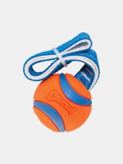 Balle pour chien Ultra Tug Chuck It! - Taille M