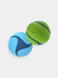 2 balles pour chien - Sniff Fetch Ball - Chuck It! - Taille M