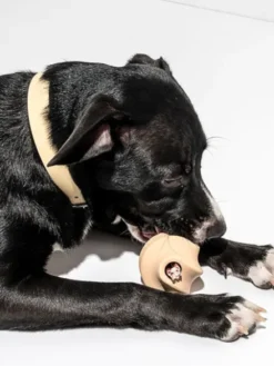 Balle Twist Toss pour chien - Beige - Wild One