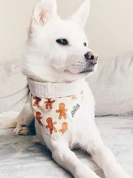 Bandana de Noël pour chien - Motif Little Ginger - The Paws