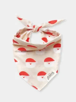 Bandana d'Hiver pour chien - Motif Santa - The Paws