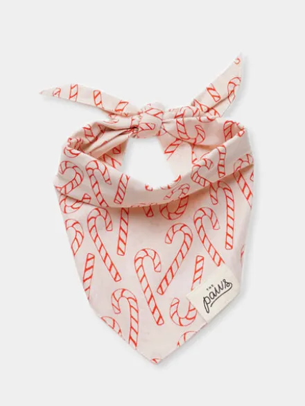 Bandana d'Hiver pour chien - Sucre d'orge Elfie - The Paws