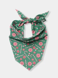 Bandana d'Hiver pour chien - Sugar 🎅🍬 - The Paws