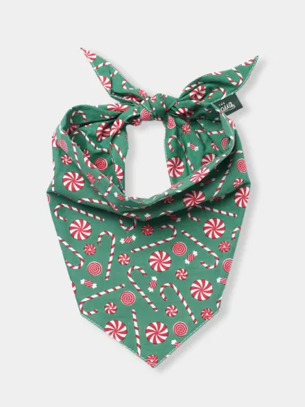 Bandana d'Hiver pour chien - Sugar 🎅🍬 - The Paws