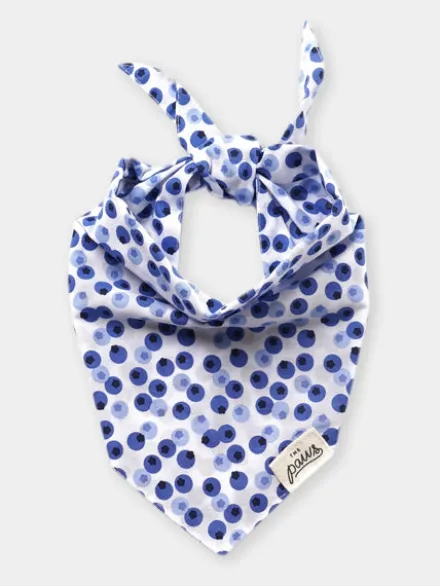 Bandana pour chien - Berry - The Paws