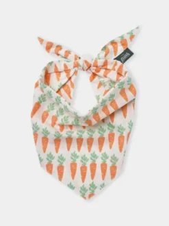 Bandana pour chien - Carotte (Crunch) - The Paws
