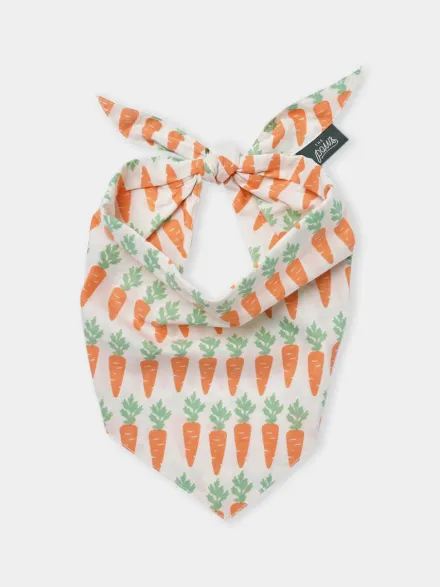 Bandana pour chien - Carotte (Crunch) - The Paws