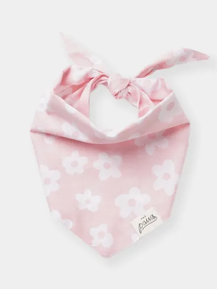 Bandana pour chien - Daisie 🌼 - The Paws