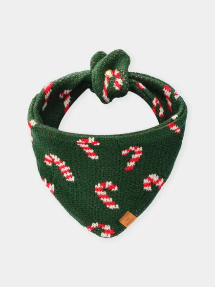 Bandana pour chien en tricot - Candy Cane ☃️ - The Foggy Dog