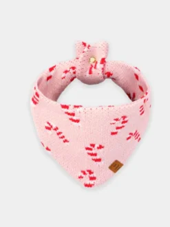Bandana pour chien en tricot - Candy Cane Rose - The Foggy Dog