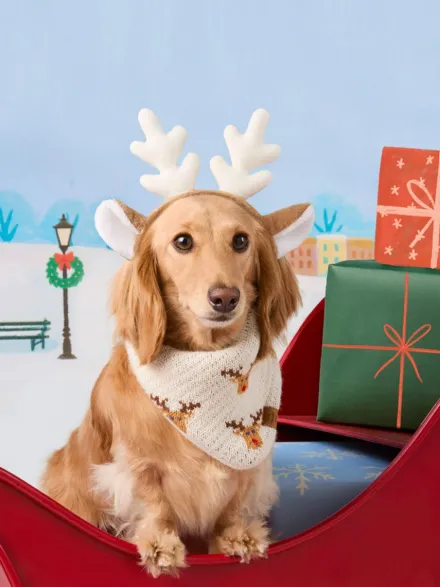 Bandana pour chien en tricot - Reindeer 🦌 - The Foggy Dog