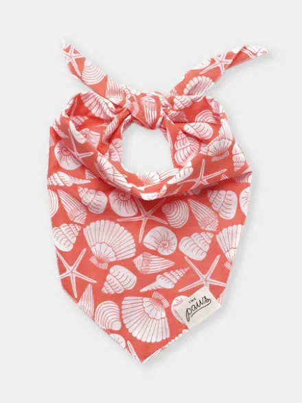 Bandana pour chien - Flores Shell - The Paws