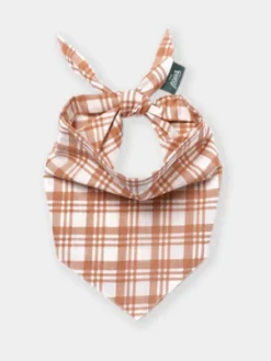 Bandana pour chien - Ginger - The Paws