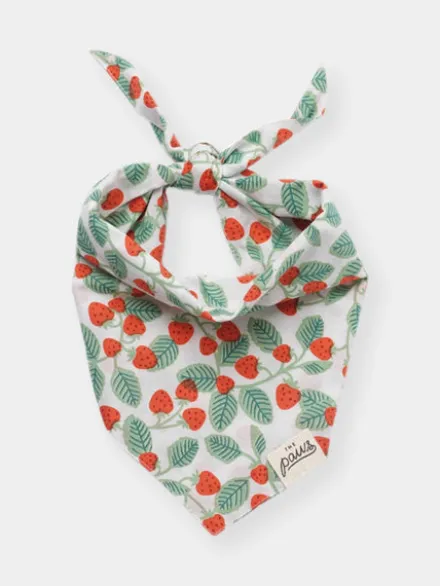 Bandana pour chien - Henley - The Paws