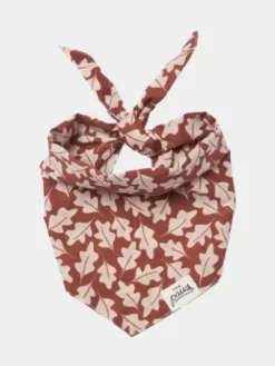 Bandana pour chien - Hudson Fall 🍂 - The Paws