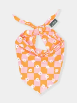 Bandana pour chien - Hula - The Paws
