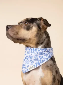 Bandana pour chien - Jo - The Paws