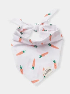Bandana pour chien - Motif Carotte 🥕 - The Paws