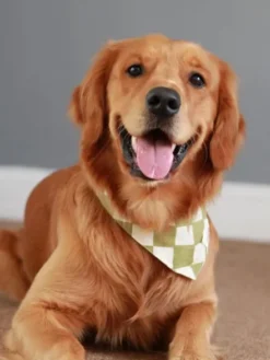 Bandana pour chien - Motif Checkmate ♟️ - The Paws