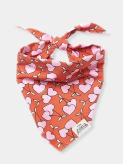 Bandana pour chien - Motif Cherrie Dog - The Paws