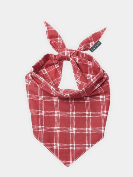 Bandana pour chien - Motif Cider ♦️ - The Paws