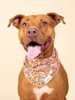 Bandana pour chien - Motif Fluff Dog - The Paws