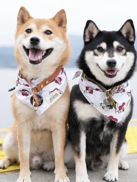 Bandana pour chien - Motif Love Dad ♥️ - The Paws
