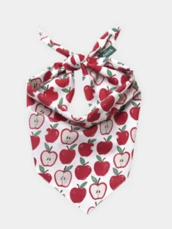 Bandana pour chien - Motif Orchard 🍎 - The Paws