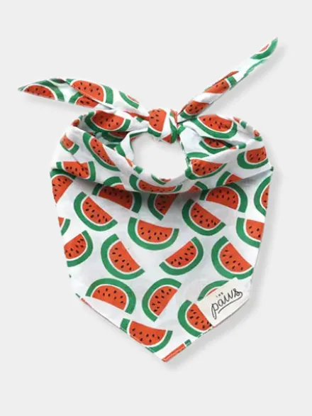 Bandana pour chien - Motif Pastèque 🍉 - The Paws