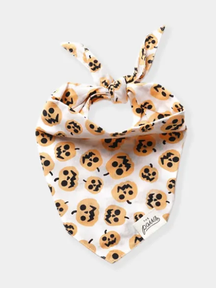 Bandana pour chien - Motif Pumpkin - The Paws