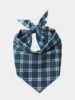 Bandana pour chien - Motif Slate 🪵 - The Paws