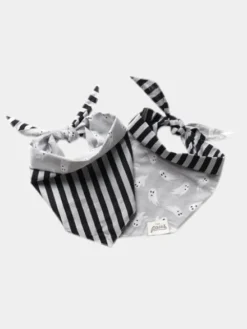 Bandana pour chien - Motif Spooky - The Paws