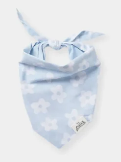 Bandana pour chien - Noah - The Paws