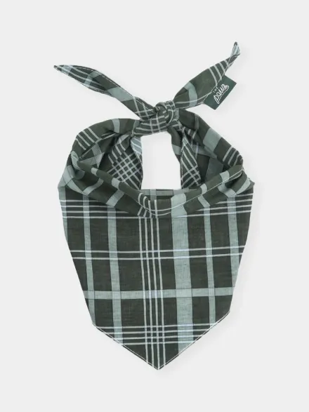 Bandana pour chien - Pine Winter - The Paws