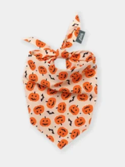 Bandana pour chien - Pupkin - The Paws