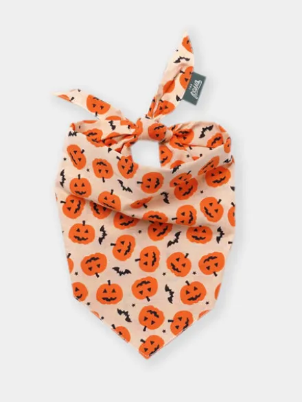 Bandana pour chien - Pupkin - The Paws