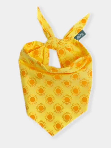 Bandana pour chien - Sol - The Paws