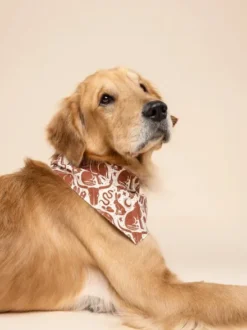 Bandana pour chien - Western Wild - The Paws