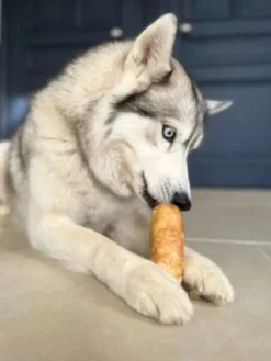 Barres de Fromage de Yak soufflé pour chien - Pawfect
