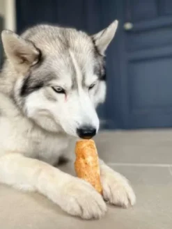 Barres de Fromage de Yak soufflé pour chien - Pawfect